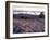 Grooves in the Granite on Summit of Cadillac Mountain, Acadia National Park, Maine, USA-Jerry & Marcy Monkman-Framed Photographic Print