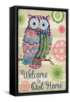 Groovy Owls II-Paul Brent-Framed Stretched Canvas