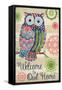 Groovy Owls II-Paul Brent-Framed Stretched Canvas