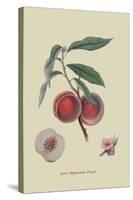 Gros Mignonne Peach-William Hooker-Stretched Canvas
