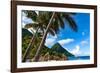 Gros Piton, with palm trees and thatched sun umbrellas, Sugar Beach, St. Lucia, Windward Islands, W-Martin Child-Framed Photographic Print