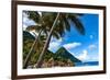 Gros Piton, with palm trees and thatched sun umbrellas, Sugar Beach, St. Lucia, Windward Islands, W-Martin Child-Framed Photographic Print