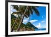 Gros Piton, with palm trees and thatched sun umbrellas, Sugar Beach, St. Lucia, Windward Islands, W-Martin Child-Framed Photographic Print