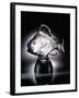 Gros Poisson Algues' No. 110, a Clear Glass Model of a Fish-null-Framed Giclee Print