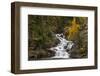 Gros Ventre Falls in autumn, Glacier National Park, Montana, USA-Chuck Haney-Framed Photographic Print