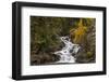 Gros Ventre Falls in autumn, Glacier National Park, Montana, USA-Chuck Haney-Framed Photographic Print