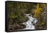 Gros Ventre Falls in autumn, Glacier National Park, Montana, USA-Chuck Haney-Framed Stretched Canvas