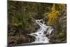 Gros Ventre Falls in autumn, Glacier National Park, Montana, USA-Chuck Haney-Mounted Photographic Print