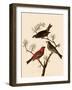 Grosbeaks-John James Audubon-Framed Giclee Print