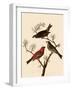 Grosbeaks-John James Audubon-Framed Giclee Print