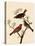 Grosbeaks-John James Audubon-Stretched Canvas