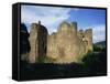 Grosmont, Ruined 13th Century Castle, Grosmont, Monmouthshire, Wales, United Kingdom-Jean Brooks-Framed Stretched Canvas