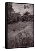 Gross Point Beach Grasses BW-Steve Gadomski-Framed Stretched Canvas