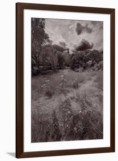 Gross Point Beach Grasses BW-Steve Gadomski-Framed Photographic Print