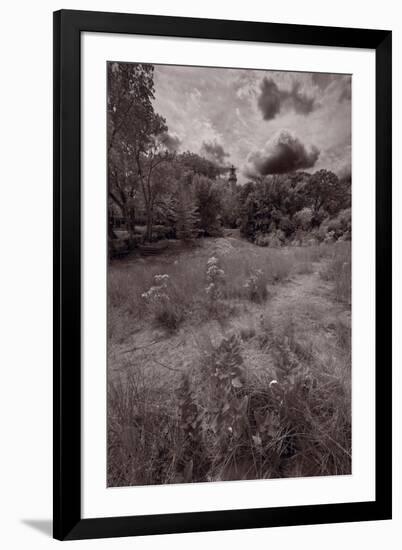 Gross Point Beach Grasses BW-Steve Gadomski-Framed Photographic Print