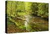 Grosser Regen (River), Near Bayerisch Eisenstein, Bavarian Forest, Bavaria, Germany, Europe-Jochen Schlenker-Stretched Canvas