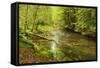 Grosser Regen (River), Near Bayerisch Eisenstein, Bavarian Forest, Bavaria, Germany, Europe-Jochen Schlenker-Framed Stretched Canvas