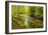 Grosser Regen (River), Near Bayerisch Eisenstein, Bavarian Forest, Bavaria, Germany, Europe-Jochen Schlenker-Framed Photographic Print