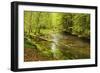 Grosser Regen (River), Near Bayerisch Eisenstein, Bavarian Forest, Bavaria, Germany, Europe-Jochen Schlenker-Framed Photographic Print