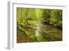 Grosser Regen (River), Near Bayerisch Eisenstein, Bavarian Forest, Bavaria, Germany, Europe-Jochen Schlenker-Framed Photographic Print