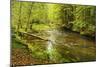 Grosser Regen (River), Near Bayerisch Eisenstein, Bavarian Forest, Bavaria, Germany, Europe-Jochen Schlenker-Mounted Photographic Print
