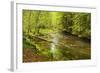 Grosser Regen (River), Near Bayerisch Eisenstein, Bavarian Forest, Bavaria, Germany, Europe-Jochen Schlenker-Framed Photographic Print