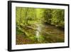 Grosser Regen (River), Near Bayerisch Eisenstein, Bavarian Forest, Bavaria, Germany, Europe-Jochen Schlenker-Framed Photographic Print