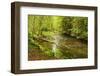 Grosser Regen (River), Near Bayerisch Eisenstein, Bavarian Forest, Bavaria, Germany, Europe-Jochen Schlenker-Framed Photographic Print