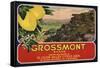 Grossmont Brand - El Cajon, California - Citrus Crate Label-Lantern Press-Framed Stretched Canvas
