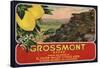 Grossmont Brand - El Cajon, California - Citrus Crate Label-Lantern Press-Framed Stretched Canvas