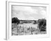 Grosvenor Bridge-null-Framed Photographic Print