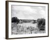 Grosvenor Bridge-null-Framed Photographic Print