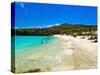 Grote Knip Beach, Curacao, Netherlands Antilles, West Indies, Caribbean, Central America-Michael DeFreitas-Stretched Canvas