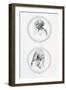 Grotesque Heads, 1730-Anne Claude Philippe-Framed Giclee Print