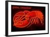 Groton, Connecticut - Lobster Neon Sign-Lantern Press-Framed Art Print