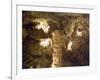 Grotte De L'Observatoire, Jardin Exotique, Moneghetti, Monaco-Ethel Davies-Framed Photographic Print