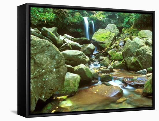 Grotto Falls, Great Smoky Mountains National Park, Tennessee, USA-Rob Tilley-Framed Stretched Canvas