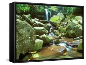 Grotto Falls, Great Smoky Mountains National Park, Tennessee, USA-Rob Tilley-Framed Stretched Canvas