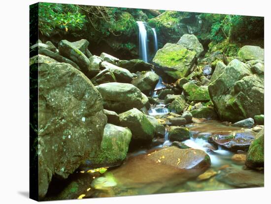 Grotto Falls, Great Smoky Mountains National Park, Tennessee, USA-Rob Tilley-Stretched Canvas