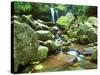 Grotto Falls, Great Smoky Mountains National Park, Tennessee, USA-Rob Tilley-Stretched Canvas