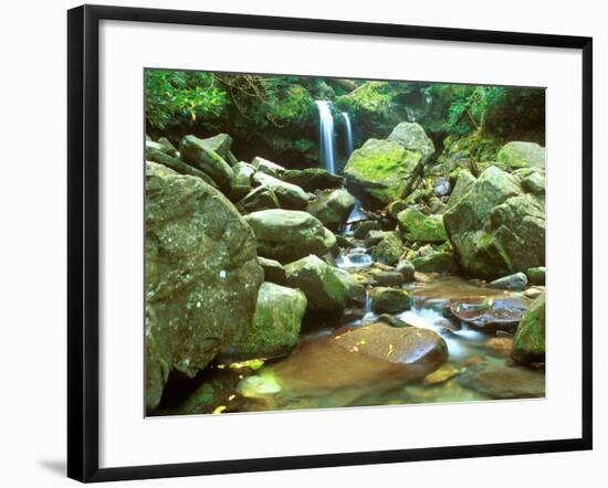 Grotto Falls, Great Smoky Mountains National Park, Tennessee, USA-Rob Tilley-Framed Photographic Print