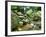 Grotto Falls, Great Smoky Mountains National Park, Tennessee, USA-Rob Tilley-Framed Photographic Print