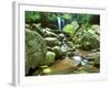 Grotto Falls, Great Smoky Mountains National Park, Tennessee, USA-Rob Tilley-Framed Photographic Print