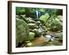 Grotto Falls, Great Smoky Mountains National Park, Tennessee, USA-Rob Tilley-Framed Photographic Print