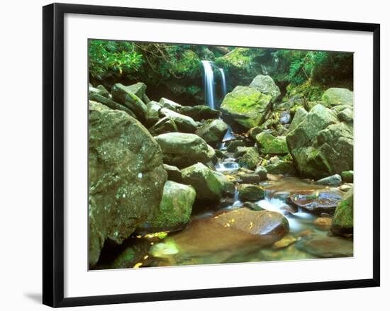 Grotto Falls, Great Smoky Mountains National Park, Tennessee, USA-Rob Tilley-Framed Photographic Print