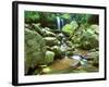 Grotto Falls, Great Smoky Mountains National Park, Tennessee, USA-Rob Tilley-Framed Photographic Print