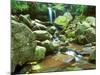 Grotto Falls, Great Smoky Mountains National Park, Tennessee, USA-Rob Tilley-Mounted Photographic Print