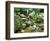 Grotto Falls, Great Smoky Mountains National Park, Tennessee, USA-Rob Tilley-Framed Photographic Print