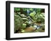 Grotto Falls, Great Smoky Mountains National Park, Tennessee, USA-Rob Tilley-Framed Photographic Print