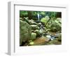 Grotto Falls, Great Smoky Mountains National Park, Tennessee, USA-Rob Tilley-Framed Photographic Print